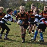 BARFC Under 8s