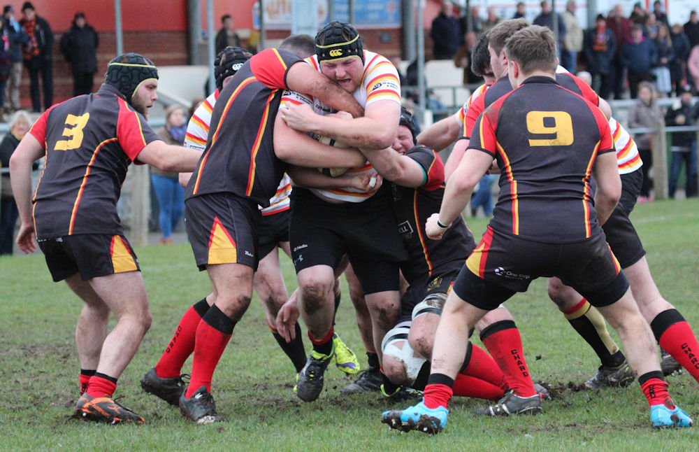 BARFC 37, Chard RFC 14 (19/11/16) - Bridgwater Rugby : Bridgwater Rugby