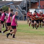 Bridgwater and Albion RFC v Wellington RFC
