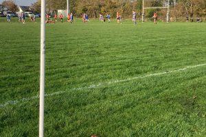 Truro RFC 43 – Bridgwater & Albion RFC 24 – Match Report