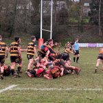 Bridgwater and Albion RFC v Crediton RFC