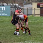 Bridgwater & Albion RFC 2nd XV great home win