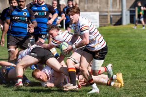 Bridgwater & Albion RFC 29-29 Dings Crusaders Seconds – Match Report
