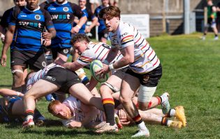 Bridgwater & Albion RFC 29-29 Dings Crusaders Seconds – Match Report